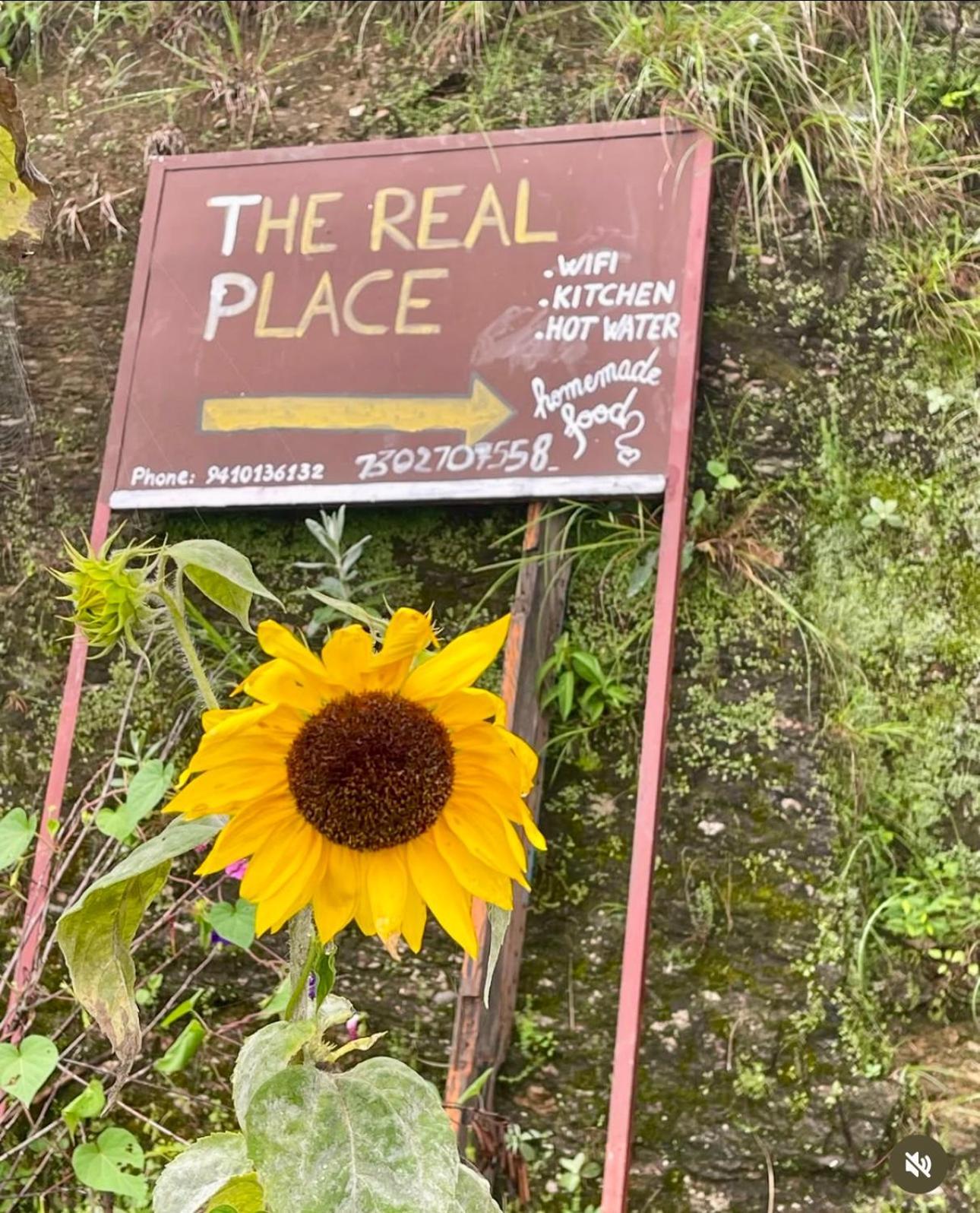 אלמורה The Real Place מראה חיצוני תמונה
